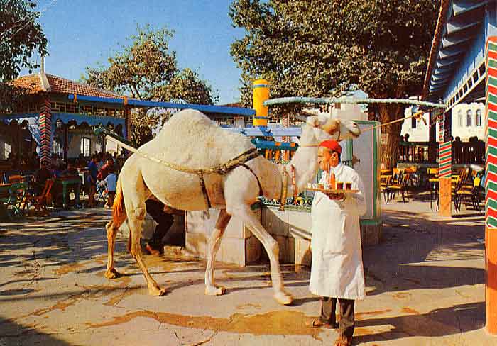 Café Saf-Saf